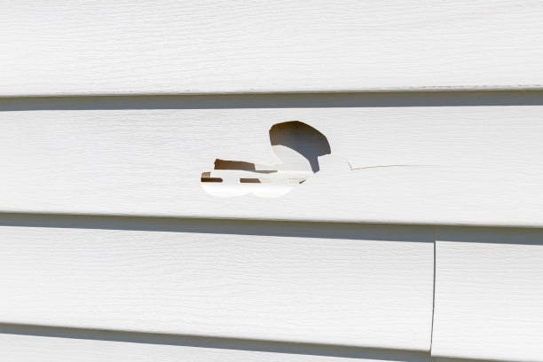 Best Appliance Removal  in Cedar Grove, FL